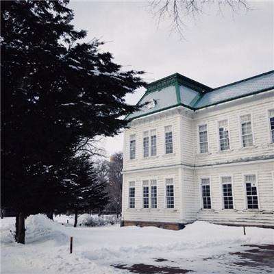 yaboapp手机app下载