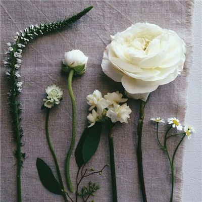 kaiyun体育官方网站全子站入口